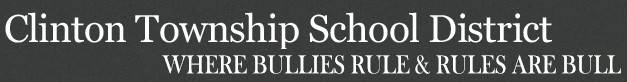 ctsd-bullies-logo